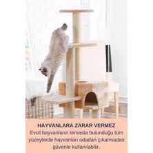 Resterıl Kedi Kumu Koku Giderici Kedi Aknesi Kedi Tüy Sağlığı Pet 750ML - Kedi Yüz Bakım - Pati Temizleyici