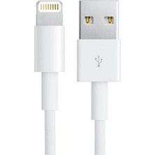 Technio Lightning To USB Hızlı Şarj Kablosu 1m