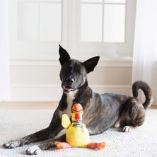 Fatcat Barnyard Bullies Sesli Dayanıklı Kanvas Kumaş Köpek Oyuncağı