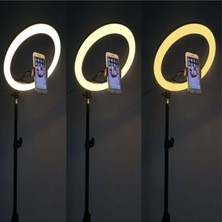 Youtuber LED Işıklı Tripod Selfie Makyaj Işığı Sürekli Ring Light 10 Inç Halka DZ66