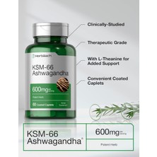 Horbaach Ksm-66 600 mg 60 Kapsül With L-Theanine - Vegan  Non-Gmo  Gluten Free Root Extract Usa