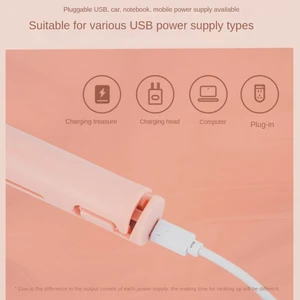 2'si 1 Arada Çift Saç Bigudi, Mini Saç Düzleştirici, Seyahat Saç Maşası, Taşınabilir Mini USB Saç Bigudi Beyaz (Yurt Dışından)