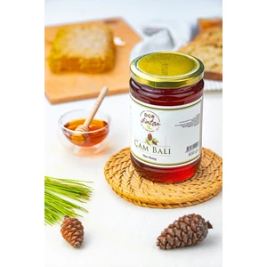Dor Datça Çam Balı 850 gr