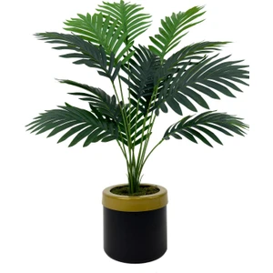 Areka Palmiyesi 75 cm Siyah Gold Metal Saksıda