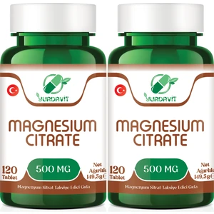 Magnesium Citrate 500 Mg Magnezyum Sitrat 2x120 Tablet