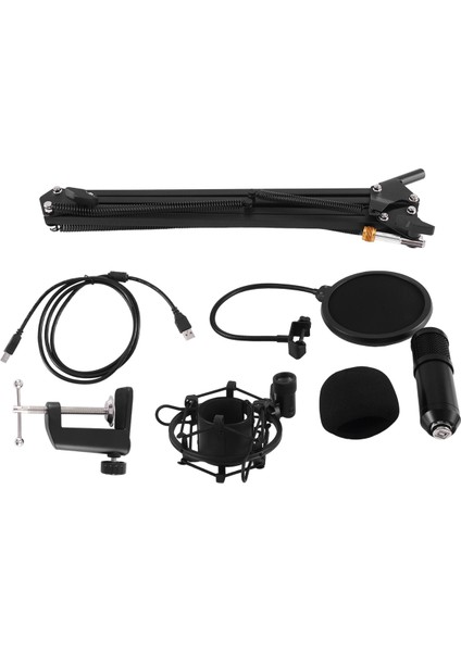 Cep Telefonu Bilgisayar Canlı Kayıt Için Kondenser Mikrofon Braketi Süspansiyon Mikrofon Kiti BM800 (Yurt Dışından) modelleri