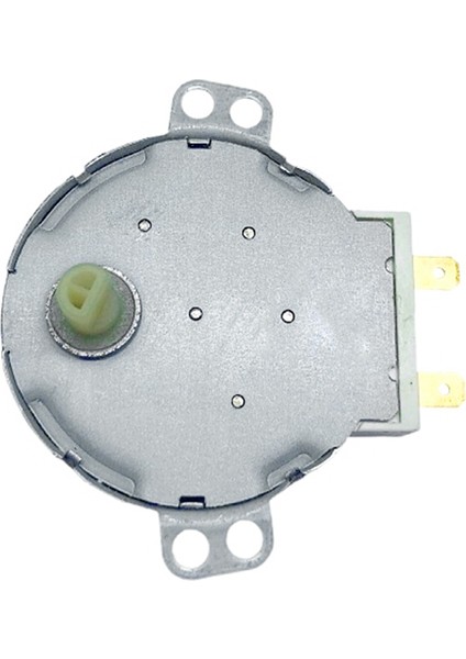 4 Adet Tepsi Senkron Motor TYJ50-8A7 AC220-240V 4r/mın (Yurt Dışından)