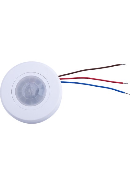 110-220V Tavan Pır Hareket Sensörü Işık Anahtarı 200W Ultra Ince Kızılötesi Indüksiyon Ayar Zaman Gecikmesi Işık Anahtarı (Yurt Dışından)
