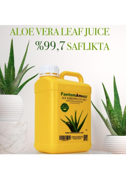 Fantomamour Aloe Vera Suyu 5 Lt. & %99.8 Saflıkta & Aloe Vera Jeli