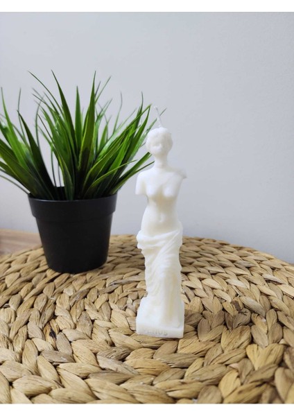 Venüs Desen Kokulu Soya Mum - Krem