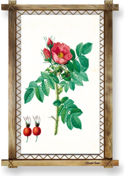 Çiçek Modern Kanvas Rustik Tablo 96 x 66