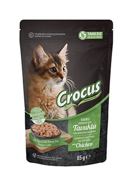 Tahılsız Pouch Jöleli Tavuklu Yavru Konserve Kedi Maması 85 gr