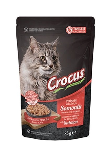 Tahılsız Pouch Jöleli Somonlu Yavru Konserve Kedi Maması 85 gr