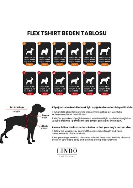 On The Clouds Köpek Kıyafeti Tshirt Mavi Beden 5