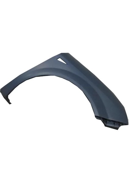 Renault Scenıc- 2- 03/09; Ön Çamurluk Delikli Sağ Astarlı Plastik (Tw)