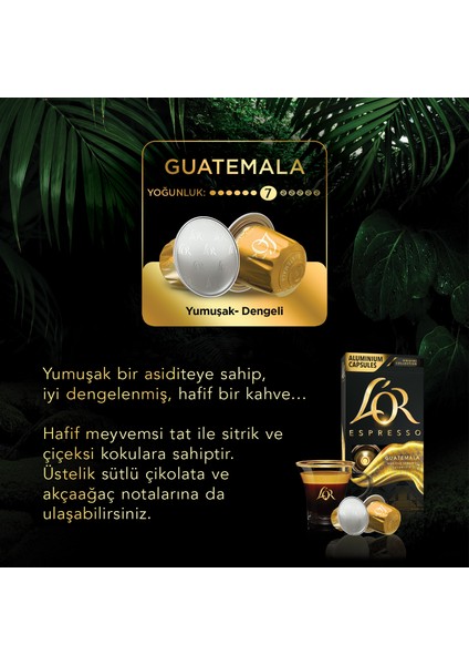 Espresso Origin Guatemala 3'lü Fırsat Paketi 30 Kapsül