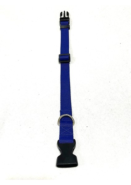 Köpekler Için Boyun Tasması Mavi 55 - 35 cm