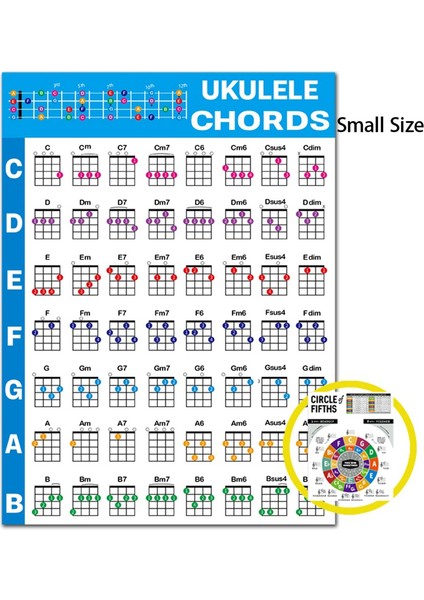 Ukulele Akor Tablosu Etiket Ukulele Müzik Eğitimi Gitar Akor Tablosu Yeni Başlayanlar Için Büyük Boy (Yurt Dışından)