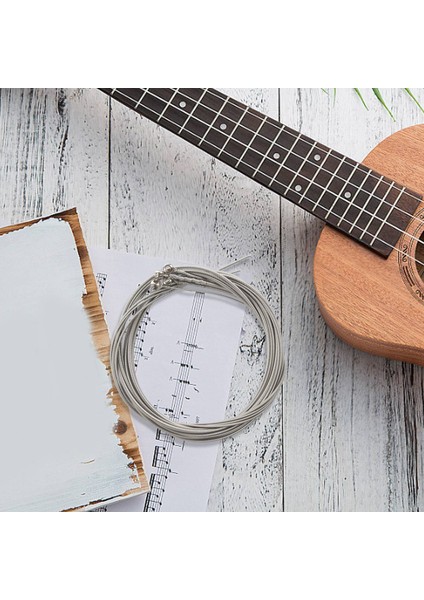 4 Parça Bas Telleri Aksesuarları Gitar Telleri Gümüş Kaplama Gitar Müzik Aksesuarları (Yurt Dışından) fiyatları