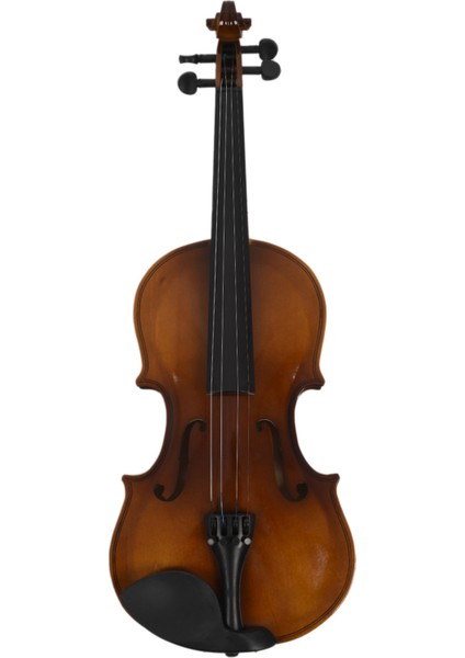 4/4 Tam Boy Akustik Keman Keman Ahşap Kılıflı Yay Rosin Keman (Yurt Dışından)