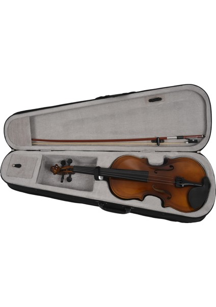 4/4 Tam Boy Akustik Keman Keman Ahşap Kılıflı Yay Rosin Keman (Yurt Dışından)
