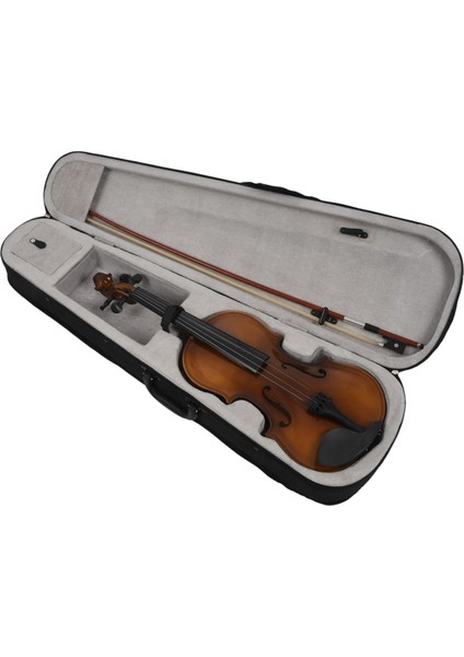 4/4 Tam Boy Akustik Keman Keman Ahşap Kılıflı Yay Rosin Keman (Yurt Dışından)