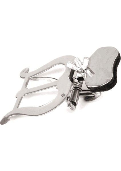 Trombon Spektrum Klipsi Trombon Yürüyen Spektrum Klipsi Trompet Trombon Evrensel Yürüyen Spektrum Klipsi Müzik Standı (Yurt Dışından)