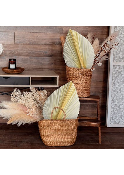 Beyaz Kurutulmuş Palmiye Yaprakları - Üstün Kalite - 3 Parça Zarif Modern ve Düğün Dekoru - Duvar Sanatı (Yurt Dışından) fiyatları