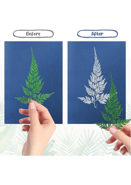 32 Yaprak Güneş Baskı Kağıdı A5 Güneş Çizim Kağıdı Doğa Baskı Kağıdı Çocuklar Yetişkinler Için Sanat El Sanatları Dıy Kelepçe Kurulu (Yurt Dışından) indirimleri