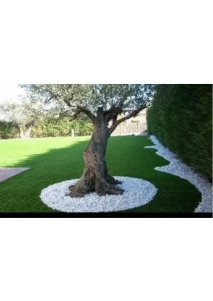 2 - 4 Dekoratif Taş fırsatları