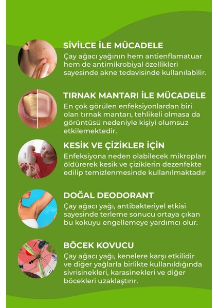 Çay Ağacı Yağı 10 Ml, Sarı Kantaron Yağı 50 ml 2'li Set