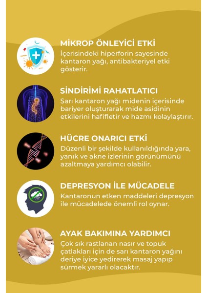 Çay Ağacı Yağı 10 Ml, Sarı Kantaron Yağı 50 ml 2'li Set