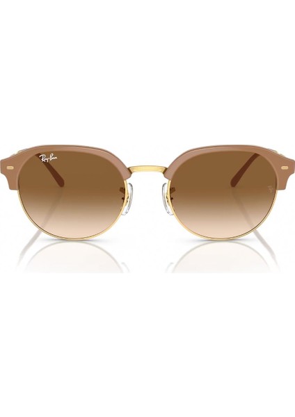RB4429 672151 Erkek Güneş Gözlüğü