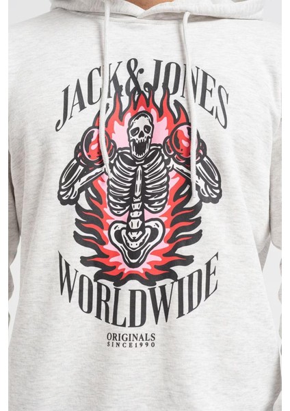 Jordaemon Sweat Hood Fst Erkek Sweatshirt