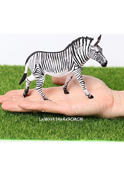 Gerçekçi Yaban Hayatı Hayvan Modeli Figürler Zebra Vahşi Hayvanlar Aile Figürleri Koleksiyon Minyatür Biliş Eğitici Oyuncaklar (Yurt Dışından)