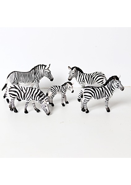 Gerçekçi Yaban Hayatı Hayvan Modeli Figürler Zebra Vahşi Hayvanlar Aile Figürleri Koleksiyon Minyatür Biliş Eğitici Oyuncaklar (Yurt Dışından) fırsatları