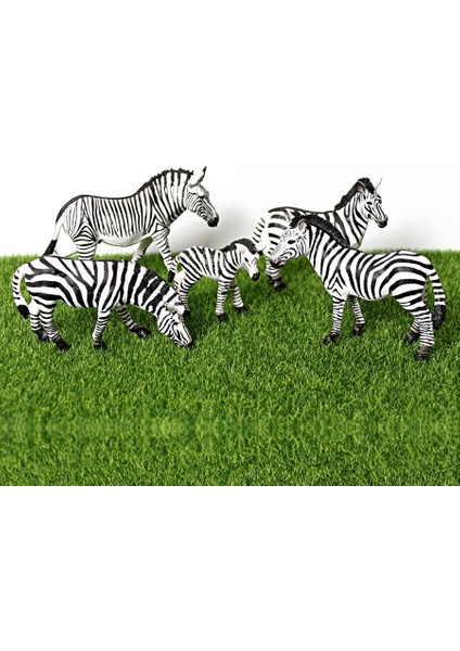 Gerçekçi Yaban Hayatı Hayvan Modeli Figürler Zebra Vahşi Hayvanlar Aile Figürleri Koleksiyon Minyatür Biliş Eğitici Oyuncaklar (Yurt Dışından) indirimleri