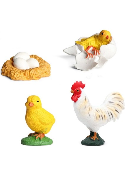 Vahşi Böcek Hayvanlar Modeli Uğur Böceği Büyüme Döngüsü Aksiyon Figürleri Heykelcik Pvc Minyatür Biyoloji Bilim Eğitim Oyuncaklar Hediye (Yurt Dışından) fırsatları