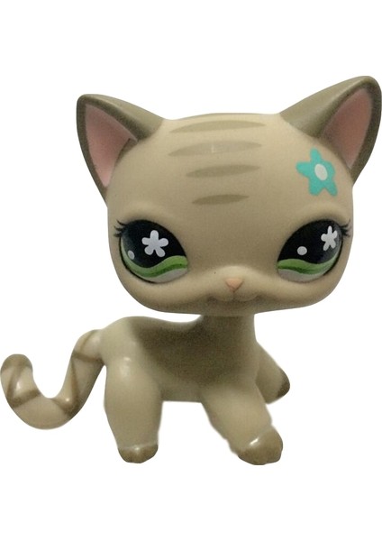 Lps Pet Shop Oyuncak Bebekler Kısa Saç Kedi Koleksiyonu Standı Aksiyon Figürleri Yüksek Kaliteli En Küçük Model Oyuncaklar Hediyeler Cosplay Oyuncaklar (Yurt Dışından) fiyatları