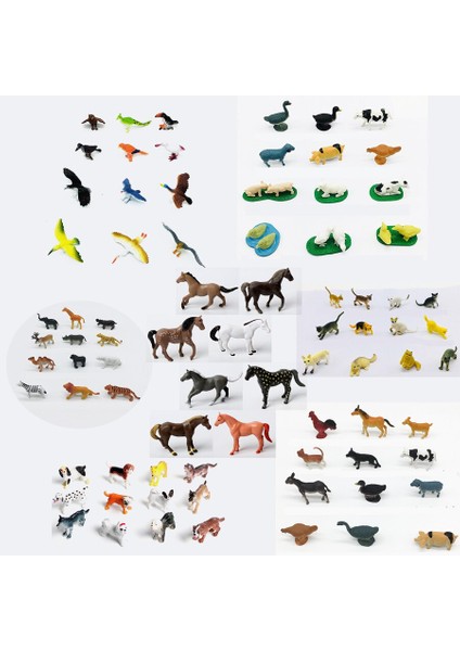Gerçekçi Aksiyon Figürü Vahşi Hayvan Modeli Oyuncak, At, Kedi, Kuşlar, Evcil Köpek Hayvan Oyun Setleri Sınıf Eğitici Hayvan Figürleri (Yurt Dışından) modelleri
