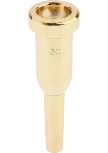 Ir Malzeme Ağıık 3c Altın (Yurt Dışından) fiyatları