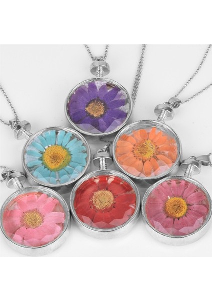 Yuvarlak Cam Gün Sıcak Papatya Kurutulmuş Çiçek Eau De Parfum Kolye (Yurt Dışından) fiyatları