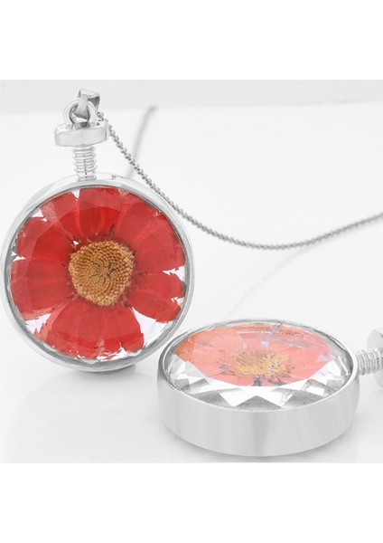 Yuvarlak Cam Gün Sıcak Papatya Kurutulmuş Çiçek Eau De Parfum Kolye (Yurt Dışından) fırsatları