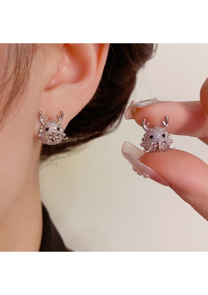 Şık ve Çok Yönlü Küpeler, Küçük ve Çok Yönlü Küpeler (Yurt Dışından) modelleri