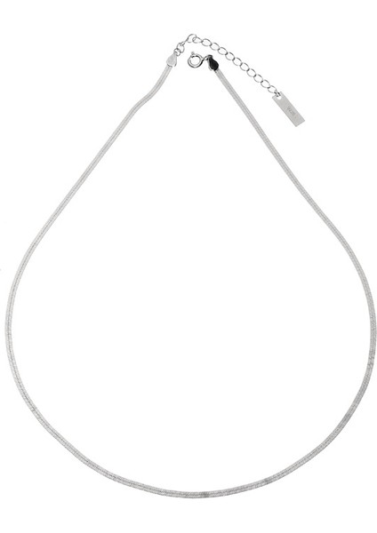 S925 Gümüş Yassı Yılan Kemik Kolye (Yurt Dışından)