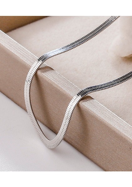 S925 Gümüş Yassı Yılan Kemik Kolye (Yurt Dışından) fiyatları