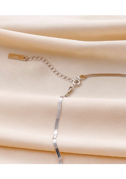 S925 Gümüş Yassı Yılan Kemik Kolye (Yurt Dışından) fırsatları