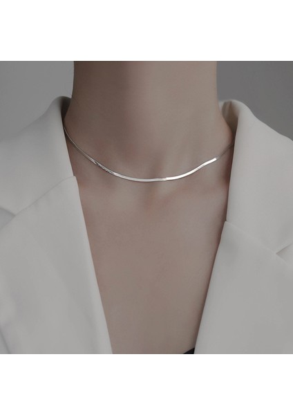 S925 Gümüş Yassı Yılan Kemik Kolye (Yurt Dışından) indirimleri