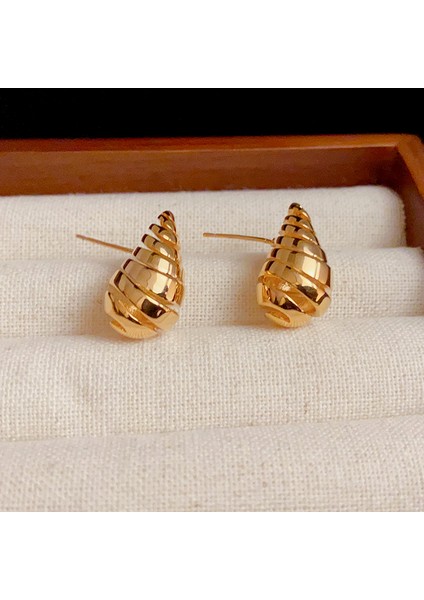 Simple Drops Spiral Küpeler, Küçük Çok Yönlü Küpeler (Yurt Dışından)