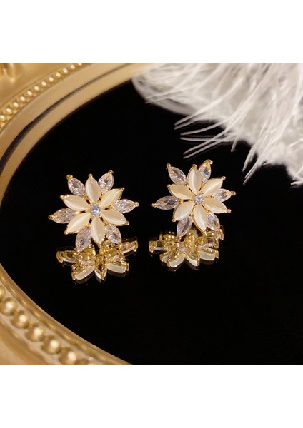 Premium Zirkonya Saplama Küpe, Moda Küpe Kız Arkadaşa Hediye (Yurt Dışından) fiyatları